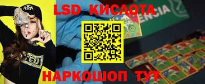 крисы Будённовск