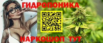 крисы Будённовск
