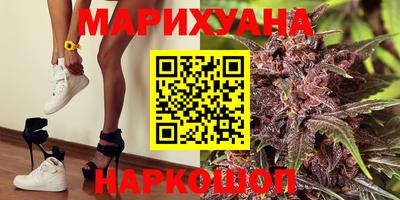 крисы Будённовск